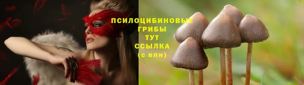 марки lsd Алексеевка