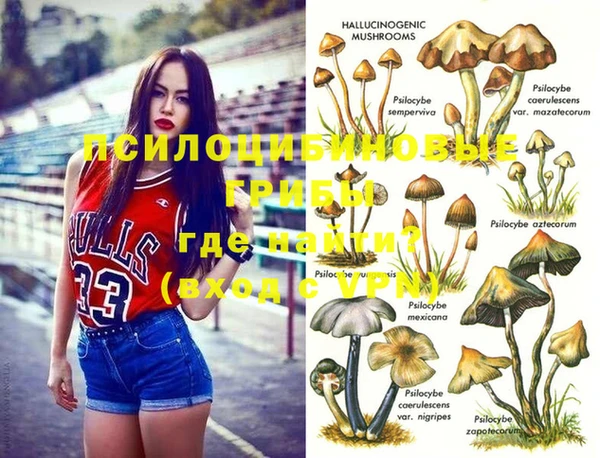 ALPHA PVP Алексин